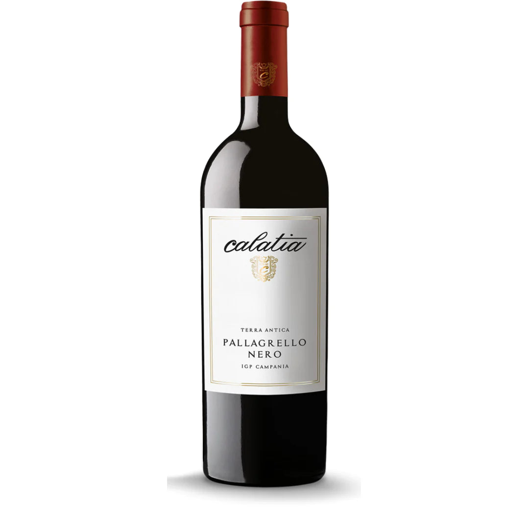 Pallagrello Nero 2021 - Calatia