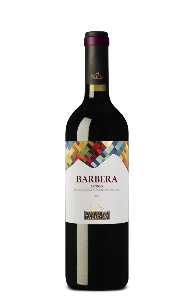 Barbera 2024 - Cantine del Taburno
