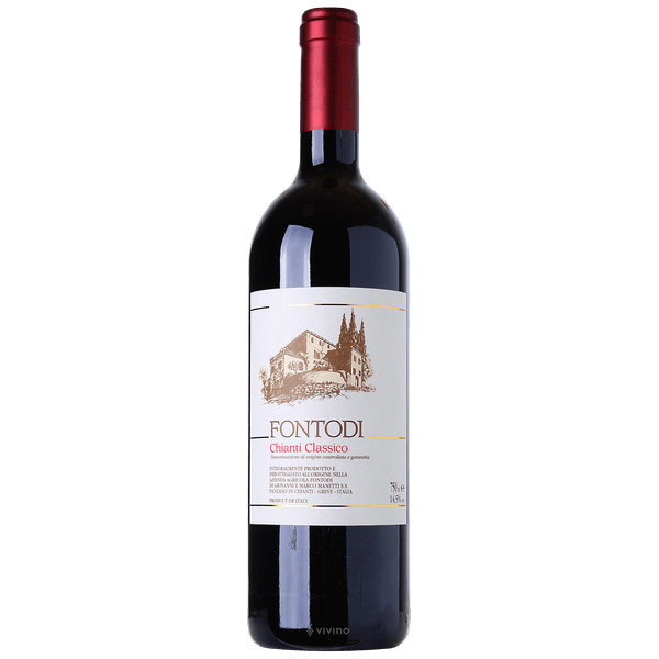 Chianti Classico 2019 - Fontodi