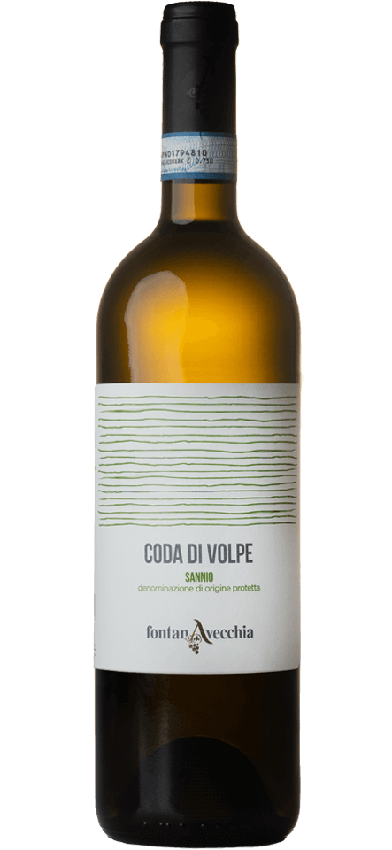Coda di Volpe 2024 - Fontanavecchia